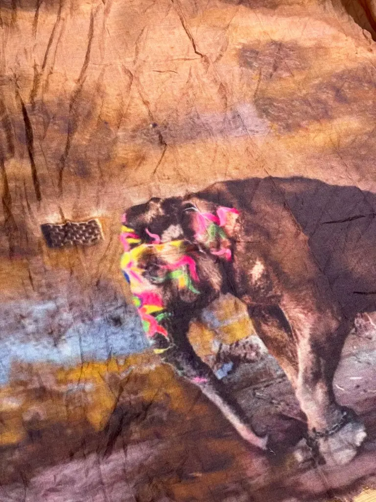 Imagen de WhatsApp 2025-10-16 a las 11.26.38_6a89705a.webp