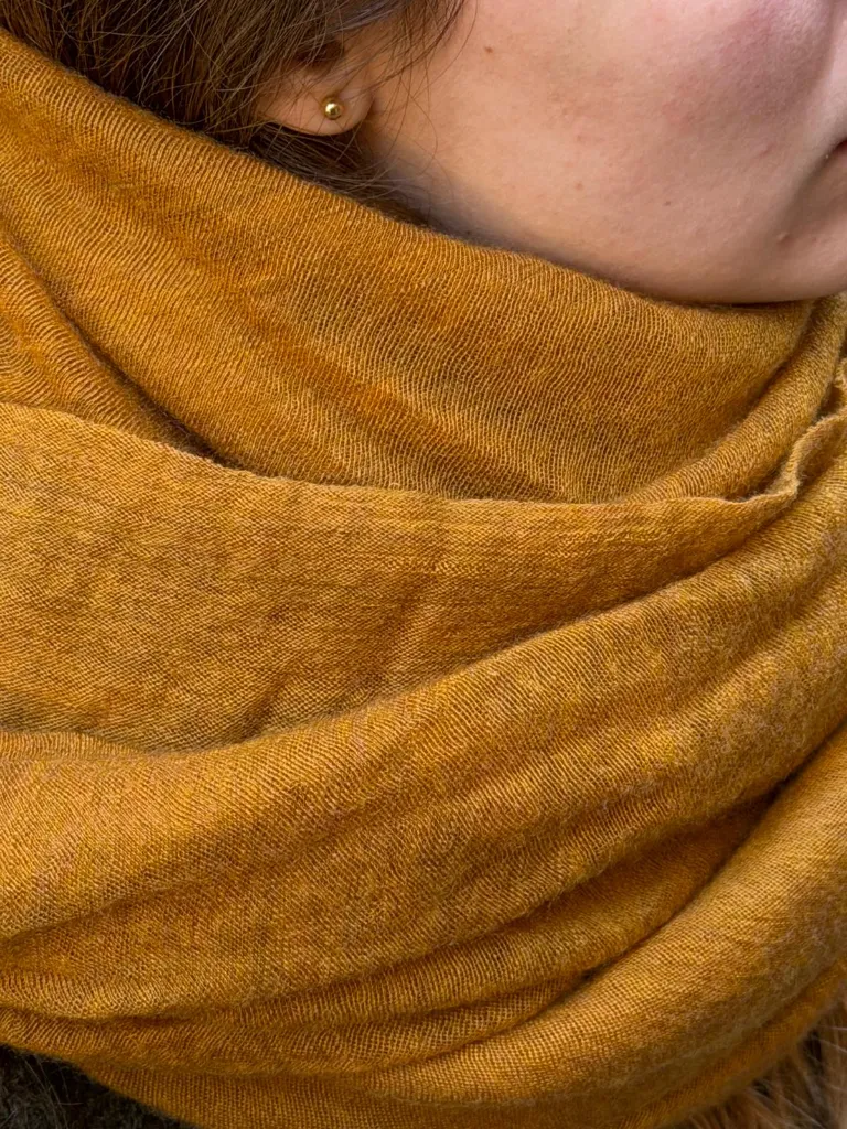 WhatsApp Image 2026-01-14 at 12.23.00.webp