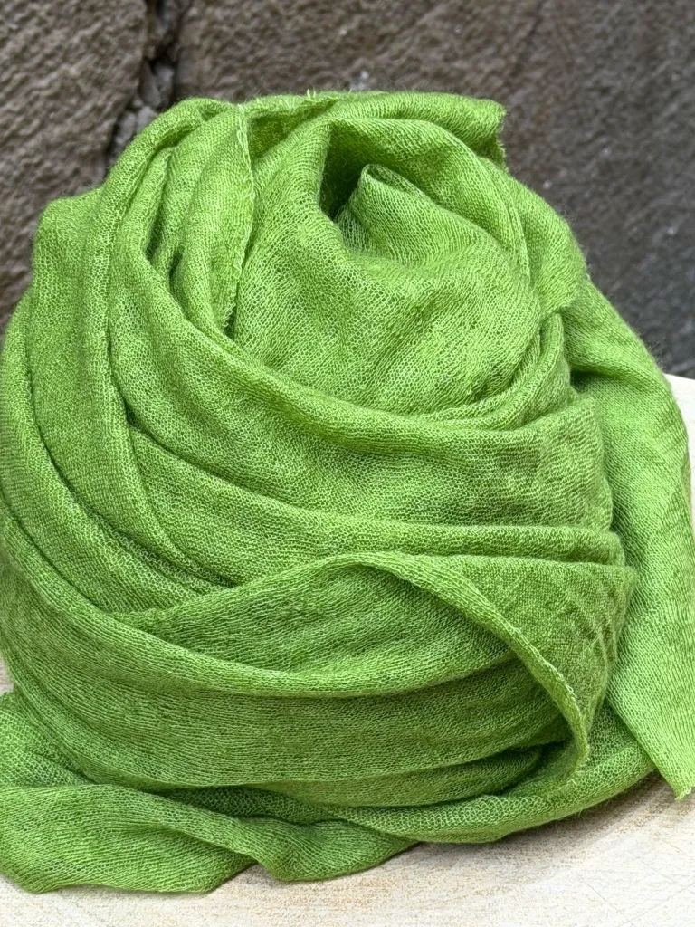 WhatsApp Image 2026-03-11 at 12.32.43 (1).webp