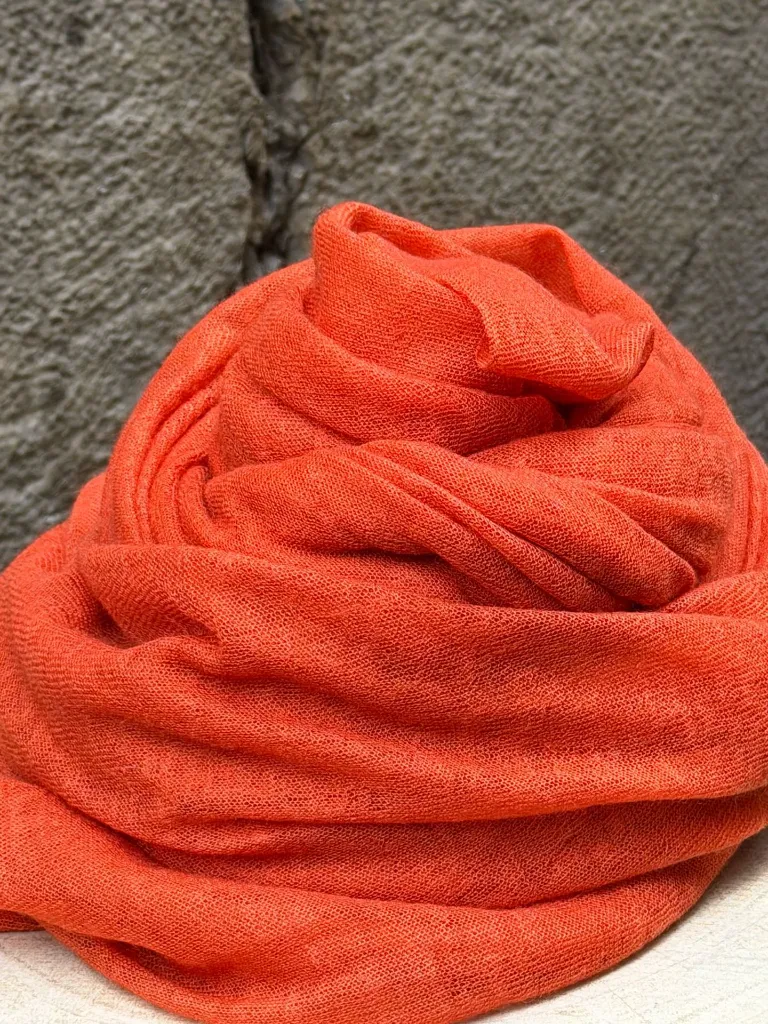 WhatsApp Image 2026-03-11 at 12.33.27 (2).webp