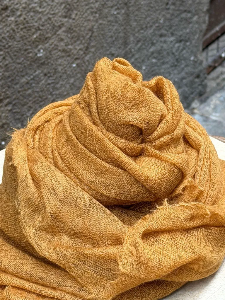 WhatsApp Image 2026-03-11 at 12.34.39.webp