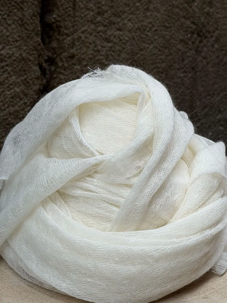 WhatsApp Image 2026-03-11 at 12.34.41 (2).webp