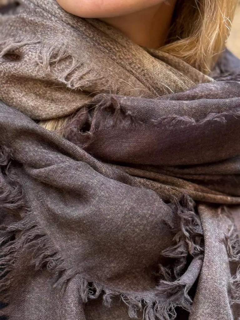 WhatsApp Image 2026-03-19 at 12.44.37 (22).webp