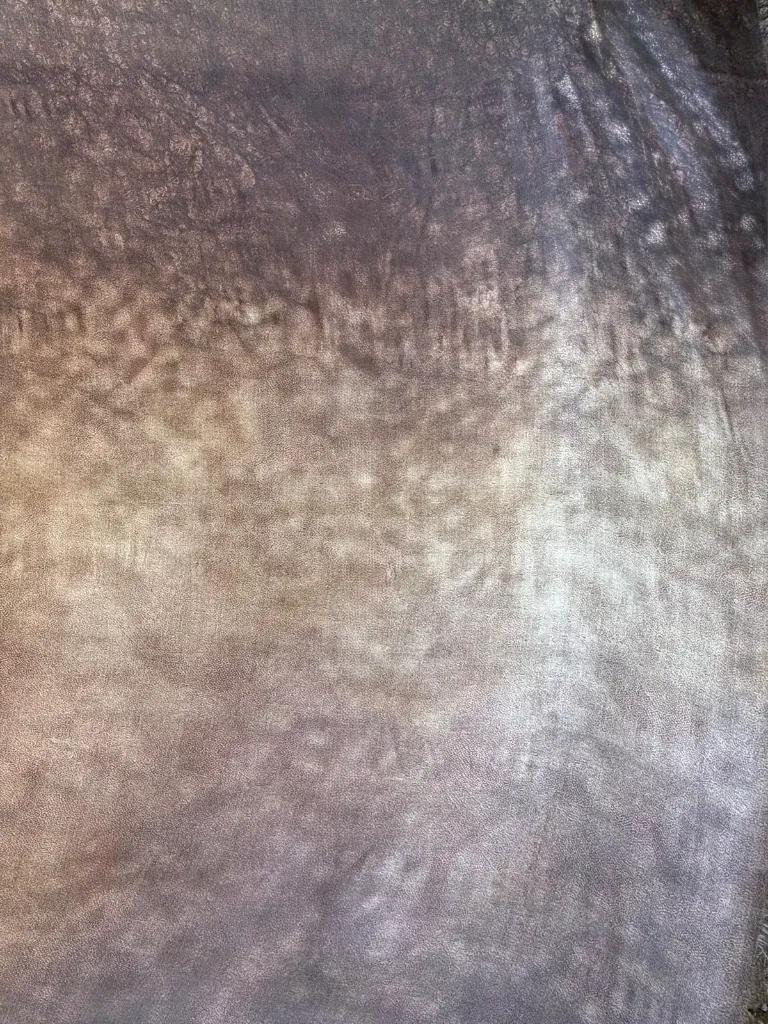 WhatsApp Image 2026-03-20 at 19.36.23 (1).webp