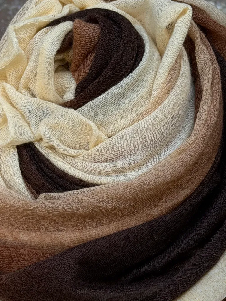 WhatsApp Image 2026-04-08 at 12.03.02 (3).webp