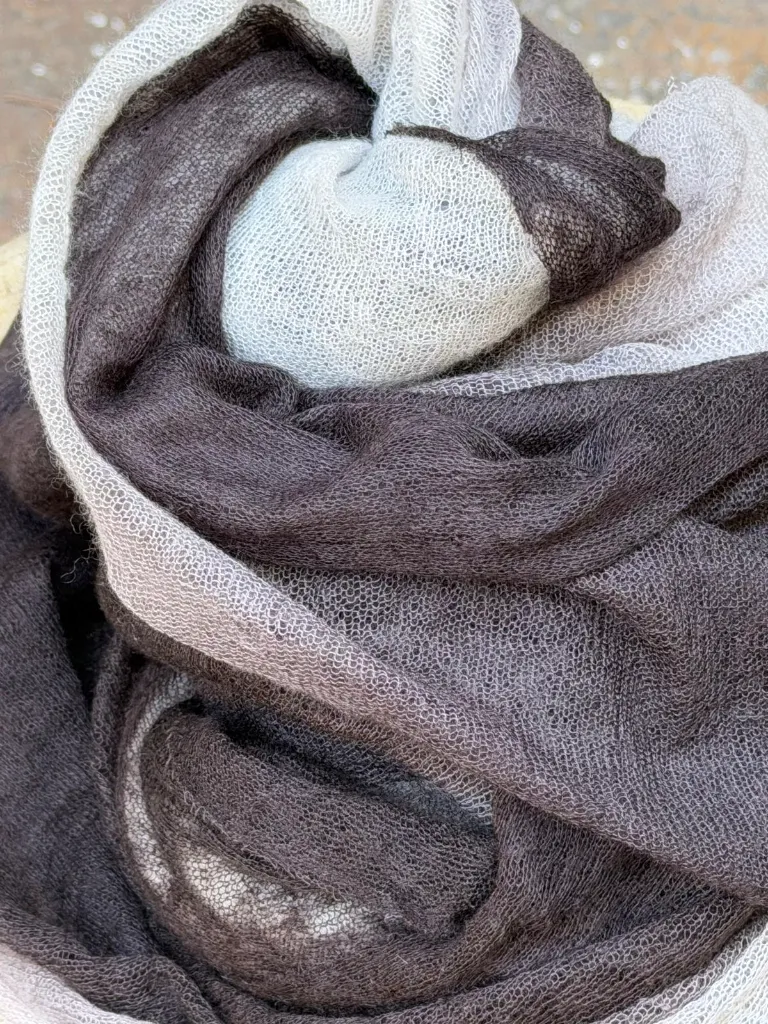 WhatsApp Image 2026-04-08 at 12.20.03.webp