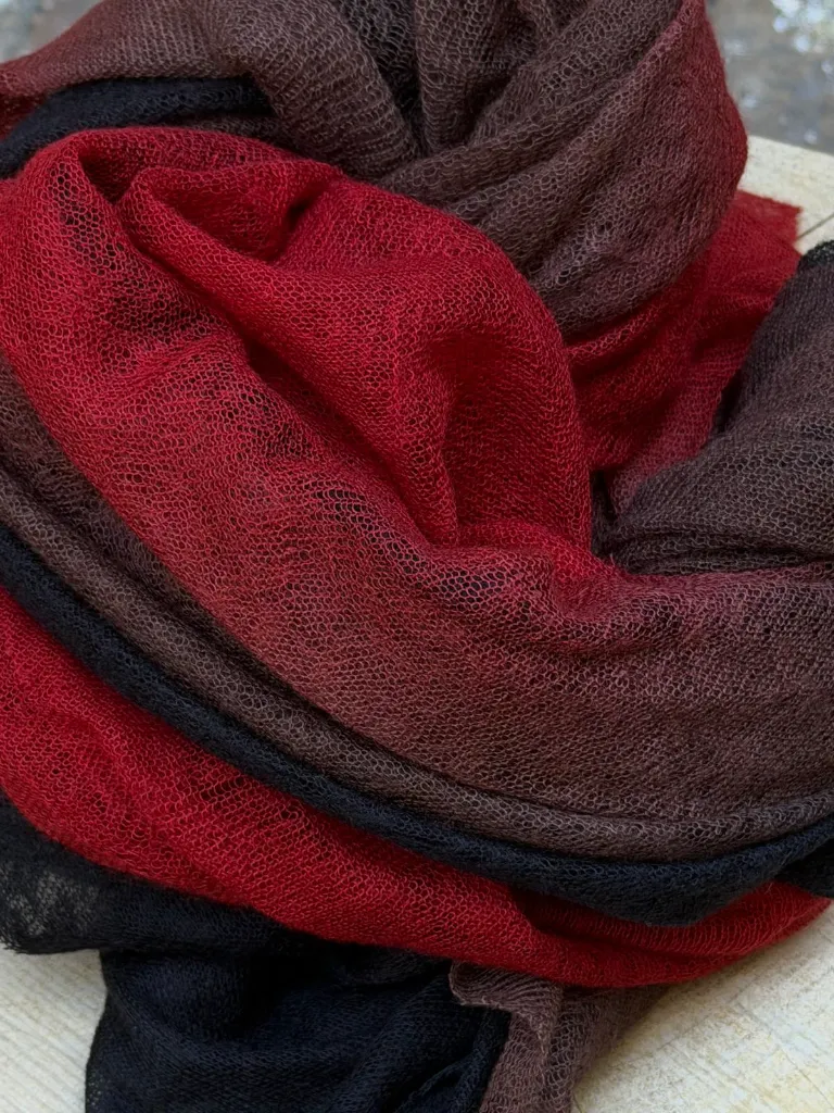 WhatsApp Image 2026-04-08 at 12.20.03 (2).webp