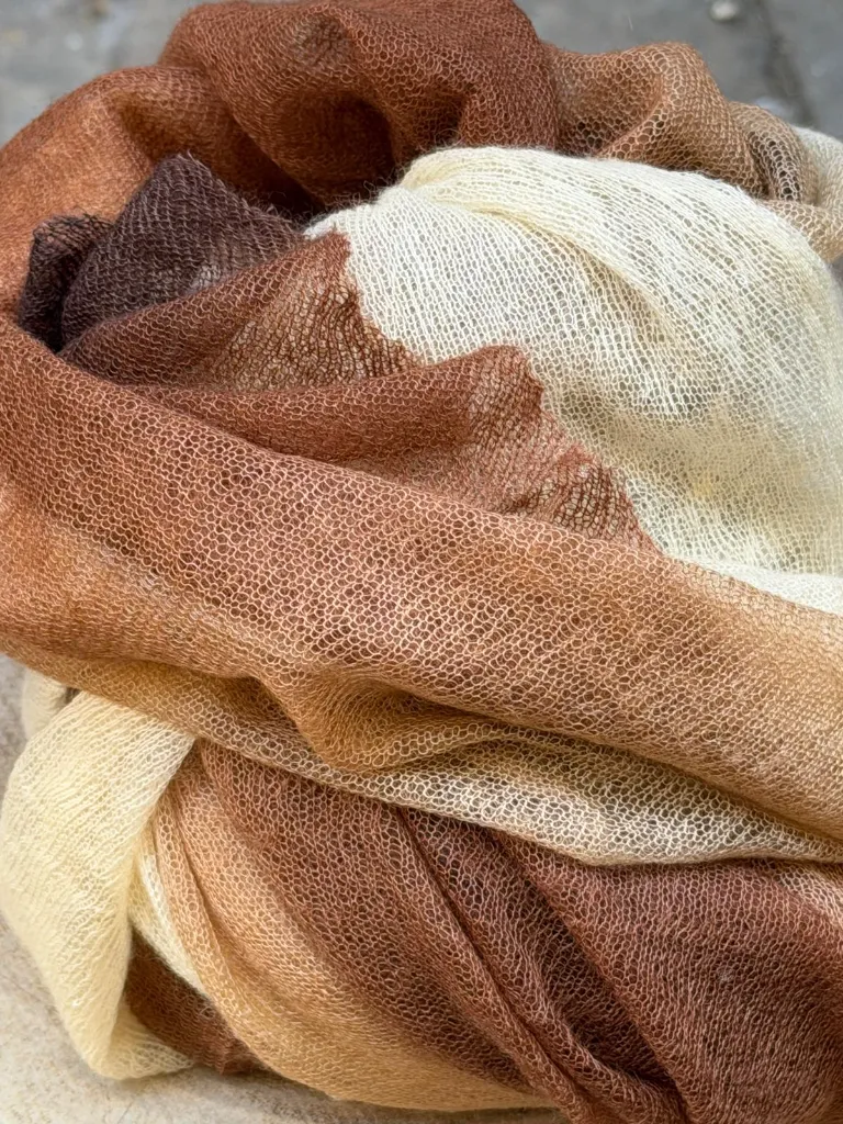 WhatsApp Image 2026-04-08 at 12.20.03 (4).webp