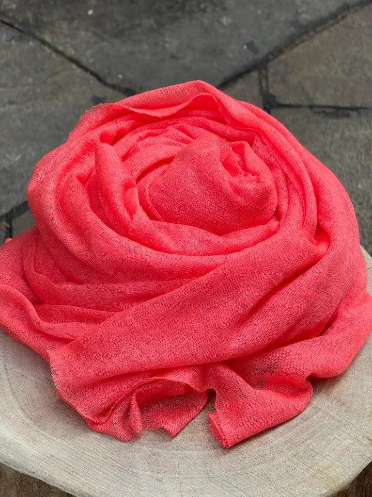 WhatsApp Image 2026-04-28 at 12.16.34.webp