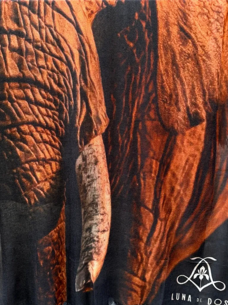 ELEPHANT 1.webp