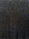 navy 2.webp
