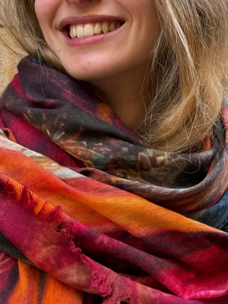 Pashmina Saris