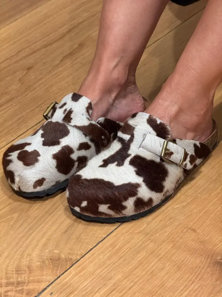 Zapato Cavallino (36)