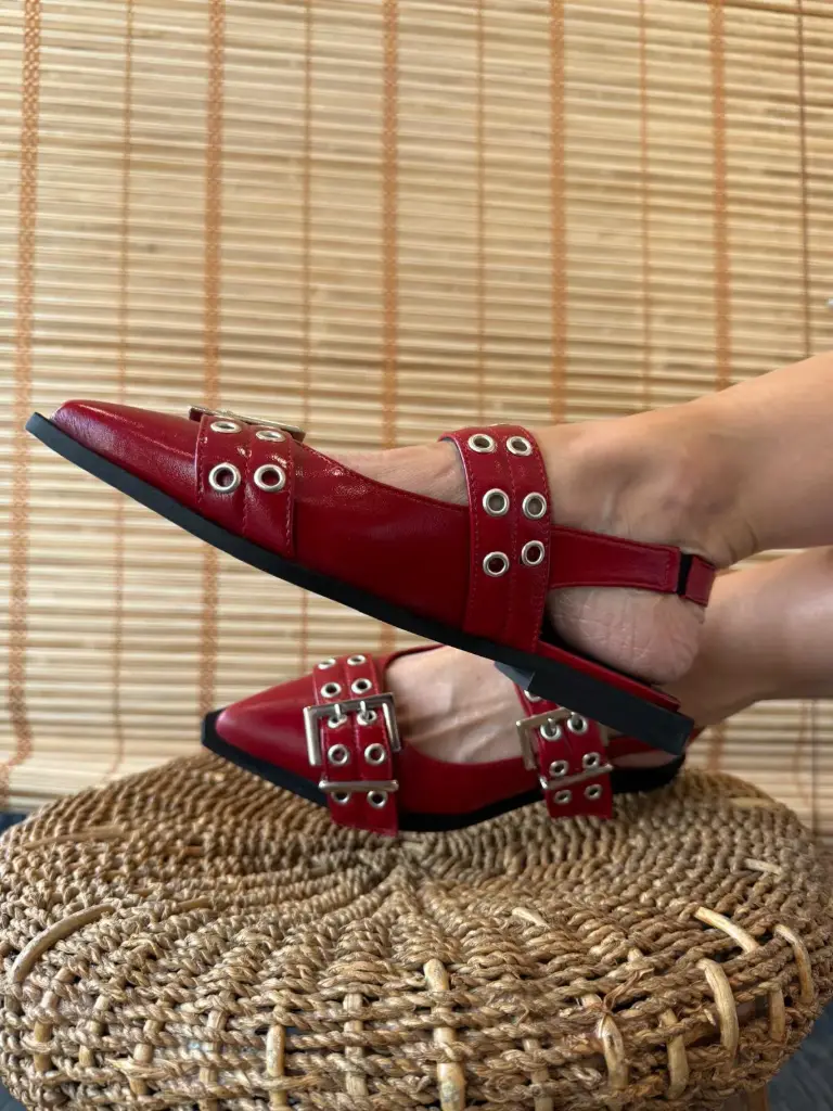 Zapato California (37)