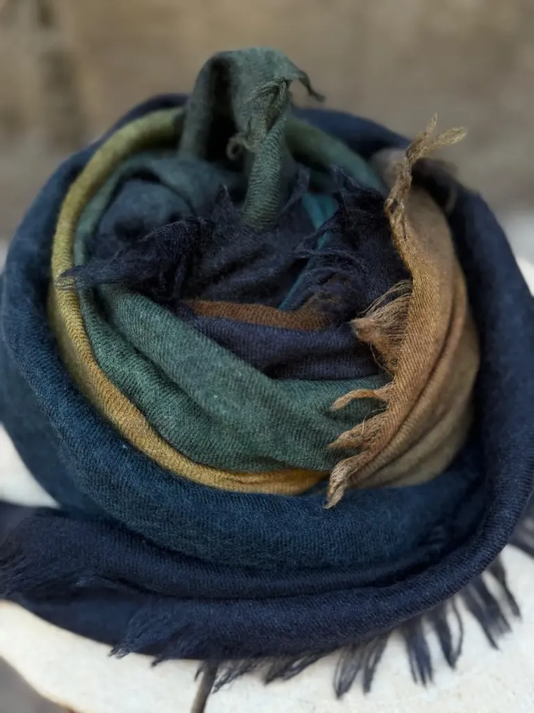Pashmina Naces